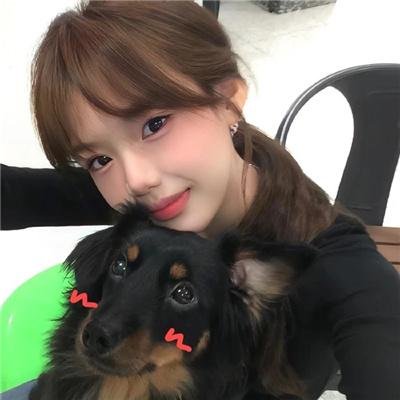 猎狐